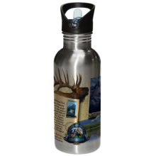 HSSWB-605_SILVER_STAINLESS_STEEL_WATER_BOTTLE.png